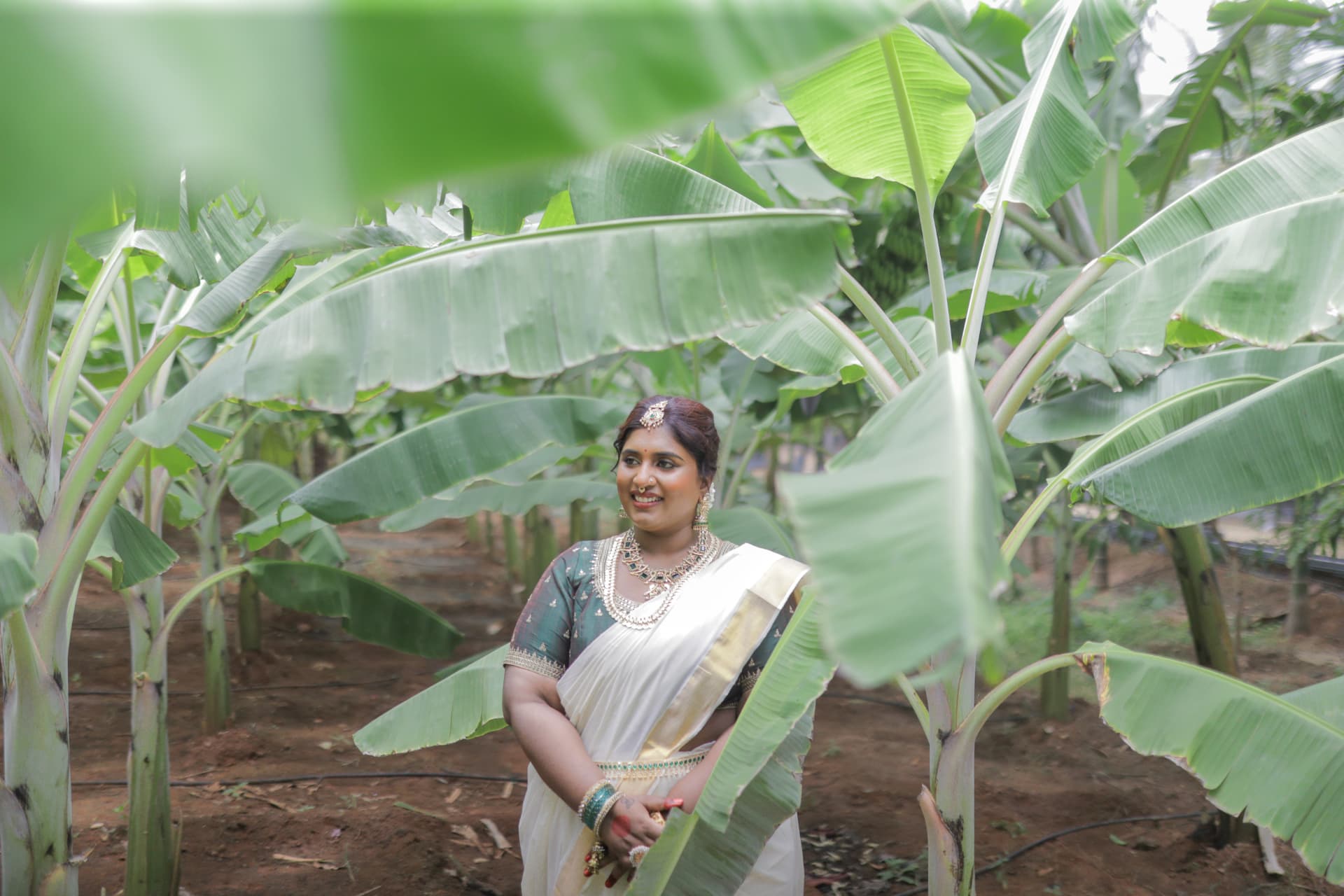 Soul of Kerala · Plantain Grove
